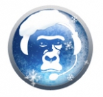 Funkgeräte Weihnachtsgorilla 2014